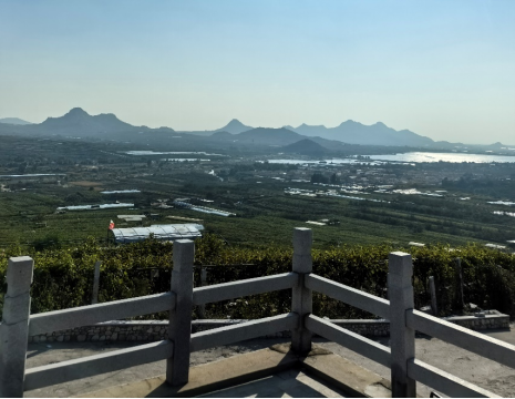 平度大澤山葡萄園引進(jìn)萊恩德土壤肥料檢測(cè)儀， 輕松掌握土壤營(yíng)養(yǎng)