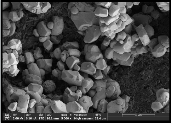 鋰電池正極材料的顯微分析指南