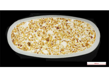 掃描電鏡助力復合維生素片的研究