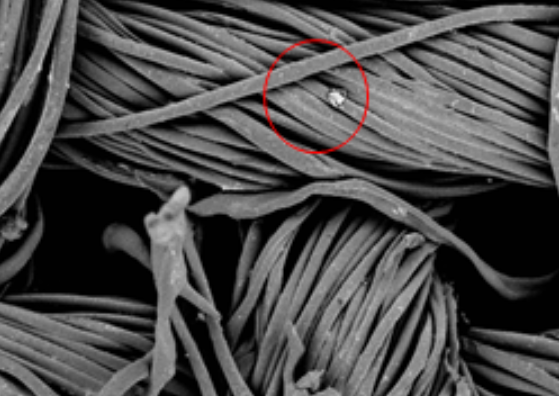 行業(yè)應用 | 賽默飛掃描電鏡在纖維表征上的應用