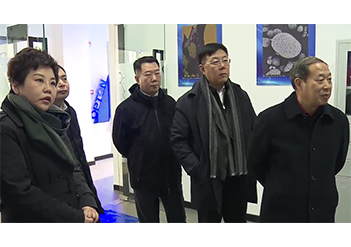 鞍山市政協主席嚴加軍蒞臨歐波同考察調研