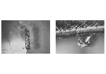 電鏡應用|掃描電鏡在電纜失效分析中的應用