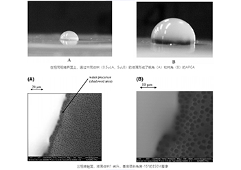 環境掃描電鏡（ESEM）在觀察液滴三相接觸線中的應用